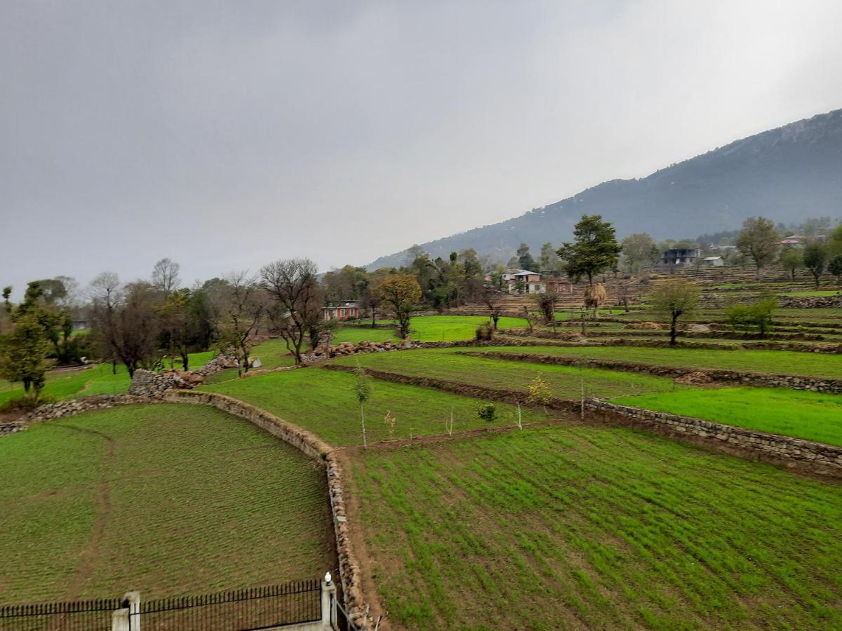 La Maison - A Boutique Bed And Breakfast Bir  Bagian luar foto