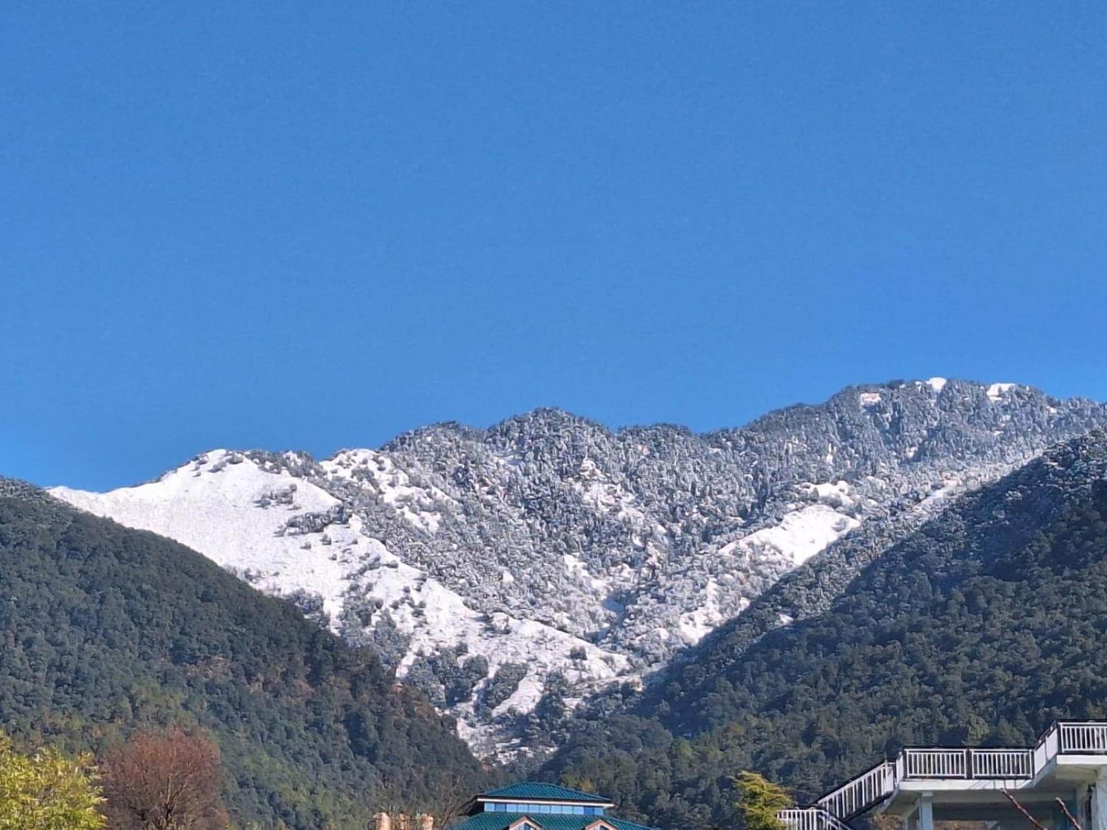 La Maison - A Boutique Bed And Breakfast Bir  Bagian luar foto